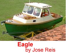 Eagle by Jose Reis 