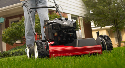 Converting a Briggs and Stratton for Use In A Boat - Boatbuilders Site ...